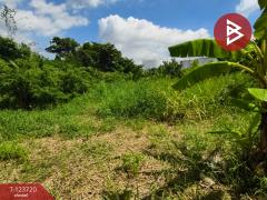 ขายที่ดิน เนื้อที่ 1 งาน 61.7 ตารางวา พระประแดง สมุทรปราการ-202510121306451760249205052.jpg