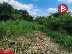 ขายที่ดิน เนื้อที่ 1 งาน 61.7 ตารางวา พระประแดง สมุทรปราการ-202510121306451760249205581.jpg