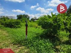 ขายที่ดิน เนื้อที่ 1 งาน 61.7 ตารางวา พระประแดง สมุทรปราการ-202510121306461760249206109.jpg