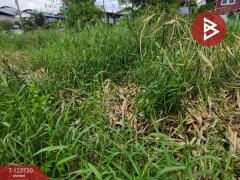 ขายที่ดิน เนื้อที่ 1 งาน 61.7 ตารางวา พระประแดง สมุทรปราการ-202510121306471760249207168.jpg