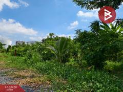 ขายที่ดิน เนื้อที่ 1 งาน 61.7 ตารางวา พระประแดง สมุทรปราการ-202510121306481760249208233.jpg