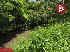 ขายที่ดิน เนื้อที่ 1 งาน 61.7 ตารางวา พระประแดง สมุทรปราการ-202510121306491760249209402.jpg