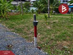 ขายที่ดิน เนื้อที่ 1 งาน 61.7 ตารางวา พระประแดง สมุทรปราการ-202510121306501760249210488.jpg