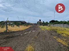 ขายที่ดิน-เนื้อที่-8-ไร่-2-งาน-59-ตร.วา-สน