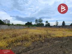 ขายที่ดิน เนื้อที่ 8 ไร่ 2 งาน 59 ตร.วา สนามจันทร์ นครปฐม-202510121331501760250710702.jpg