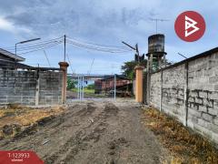 ขายที่ดิน เนื้อที่ 8 ไร่ 2 งาน 59 ตร.วา สนามจันทร์ นครปฐม-202510121331511760250711785.jpg