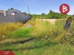 ขายที่ดินถมแล้ว เนื้อที่ 200 ตารางวา หนองปลิง นครสวรรค์ ใกล้สถานีรถไฟ-202510121401301760252490622.jpg