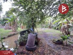 ขายที่ดินพร้อมสิ่งปลูกสร้าง เนื้อที่ 2 งาน 17 ตร.วา พระประแดง สมุทรปราการ-202510121424051760253845545.jpg