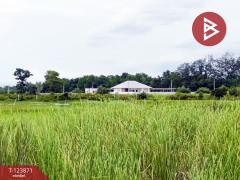 ขายที่ดินเปล่า เนื้อที่ 18 ไร่ 2 งาน 37 ตารางวา บางกะจะ จันทบุรี-202510121443171760254997936.jpg