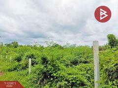 ขายที่ดินเปล่า เนื้อที่ 18 ไร่ 2 งาน 37 ตารางวา บางกะจะ จันทบุรี-202510121443191760254999555.jpg