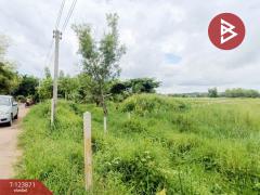 ขายที่ดินเปล่า เนื้อที่ 18 ไร่ 2 งาน 37 ตารางวา บางกะจะ จันทบุรี-202510121443221760255002387.jpg