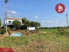 ขายด่วนที่ดินพร้อมสิ่งปลูกสร้าง เนื้อที่ 17 ไร่ 1 งาน 80 ตารางวา ติดถนนเส้นวังทอง-สากเหล็ก พิษณุโลก