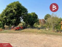 ขายด่วนที่ดินพร้อมสิ่งปลูกสร้าง เนื้อที่ 17 ไร่ 1 งาน 80 ตารางวา ติดถนนเส้นวังทอง-สากเหล็ก พิษณุโลก-202510121513541760256834733.jpg