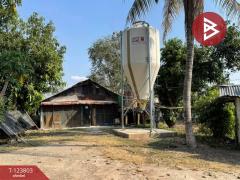 ขายด่วนที่ดินพร้อมสิ่งปลูกสร้าง เนื้อที่ 17 ไร่ 1 งาน 80 ตารางวา ติดถนนเส้นวังทอง-สากเหล็ก พิษณุโลก-202510121513551760256835254.jpg