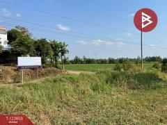 ขายด่วนที่ดินพร้อมสิ่งปลูกสร้าง เนื้อที่ 17 ไร่ 1 งาน 80 ตารางวา ติดถนนเส้นวังทอง-สากเหล็ก พิษณุโลก-202510121513561760256836839.jpg