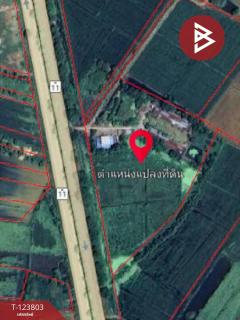 ขายด่วนที่ดินพร้อมสิ่งปลูกสร้าง เนื้อที่ 17 ไร่ 1 งาน 80 ตารางวา ติดถนนเส้นวังทอง-สากเหล็ก พิษณุโลก-202510121513571760256837360.jpg