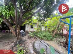 ขายบ้านเดี่ยว ซ.ทุ่งเศรษฐีแยก26 เนื้อที่ 2 งาน 64 ตร.วา ประเวศ กรุงเทพมหานคร-202510121607021760260022767.jpg