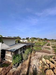 ขายที่ดิน หลังโรงถ่ายกันตนา อ.บางใหญ่ จ.นนทบุรี