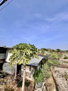 ขายที่ดิน หลังโรงถ่ายกันตนา อ.บางใหญ่ จ.นนทบุรี-202510121608591760260139766.jpg
