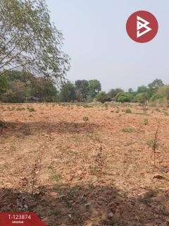 ขายที่ดิน เนื้อที่ 2 ไร่ 2 งาน 45.5 ตร.วา เวียงเก่า  ขอนแก่น