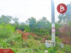 ขายที่ดิน เนื้อที่ 6 ไร่ 79.4 ตร.วา โพธาราม ราชบุรี-202510121717471760264267400.jpg