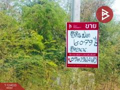 ขายที่ดิน เนื้อที่ 6 ไร่ 79.4 ตร.วา โพธาราม ราชบุรี-202510121717471760264267938.jpg