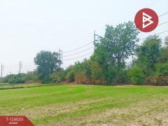 ขายที่ดิน เนื้อที่ 6 ไร่ 79.4 ตร.วา โพธาราม ราชบุรี-202510121717481760264268465.jpg