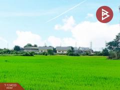 ขายที่ดิน เนื้อที่ 6 ไร่ 79.4 ตร.วา โพธาราม ราชบุรี-202510121717491760264269002.jpg