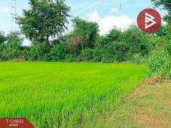 ขายที่ดิน เนื้อที่ 6 ไร่ 79.4 ตร.วา โพธาราม ราชบุรี-202510121717501760264270045.jpg