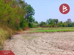 ขายที่ดิน เนื้อที่ 6 ไร่ 79.4 ตร.วา โพธาราม ราชบุรี-202510121717501760264270577.jpg