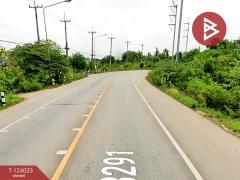 ขายที่ดิน เนื้อที่ 6 ไร่ 79.4 ตร.วา โพธาราม ราชบุรี-202510121717521760264272663.jpg