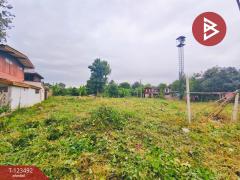 ขายที่ดิน เนื้อที่ 2 งาน 3 ตร.วา บ้านโป่ง ราชบุรี-202510121729501760264990001.jpg