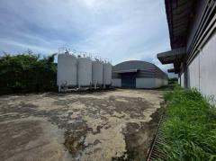 ขาย โรงงานพร้อมที่ดิน  7-1-50 ไร่ บางนา กม.19 ผังสีม่วง ใกล้ทางด่วน-202510121821501760268110387.jpg