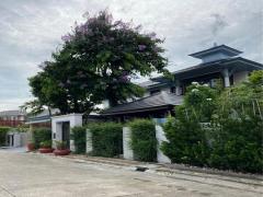 ขายบ้านเดี่ยว ย่านศรีนครินทร์ โครงการ นาราสิริ พัฒนาการ-ศรีนครินทร์ (Narasiri Pattanakarn-Srinakarin)  ขายบ้านเดี่ยว-ย่านศรีนครินทร์-โครง