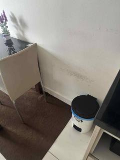 ให้เช่า คอนโด ลากูน่า เบย์ 2  หนองปรือ บางละมุง ชลบุรี ชั้น 4 ขนาด 25.17 ตรม. ราคา 10,000 บาท-เดือน-202510122311061760285466754.jpg