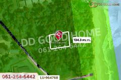 LU-964768 ที่ดินบางสะพานน้อย 134.3 ตร.ว. ประจวบคีรีขันธ์ ใกล้หาดแหลมสน-202510131429581760340598557.jpg