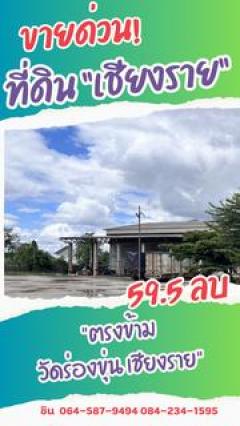 ขายด่วน ที่ดินพาณิชย์ทองคำ ตรงข้ามวัดร่องขุ่น จ.เชียงราย-202510131823241760354604437.jpg