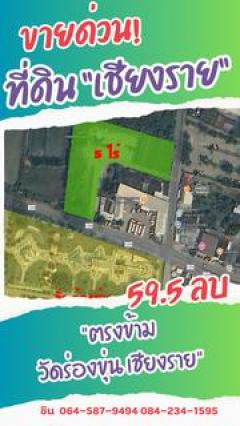 ขายด่วน ที่ดินพาณิชย์ทองคำ ตรงข้ามวัดร่องขุ่น จ.เชียงราย-202510131823241760354604899.jpg