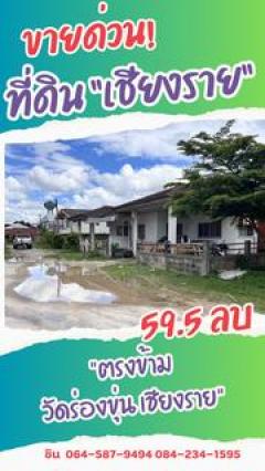 ขายด่วน ที่ดินพาณิชย์ทองคำ ตรงข้ามวัดร่องขุ่น จ.เชียงราย-202510131823251760354605365.jpg