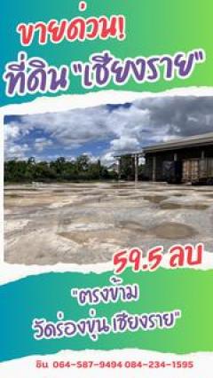 ขายด่วน ที่ดินพาณิชย์ทองคำ ตรงข้ามวัดร่องขุ่น จ.เชียงราย-202510131823261760354606308.jpg