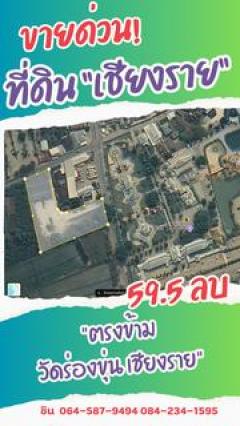 ขายด่วน ที่ดินพาณิชย์ทองคำ ตรงข้ามวัดร่องขุ่น จ.เชียงราย-202510131823261760354606768.jpg