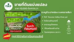 ขายที่ดินหมูสี ปากช่อง เขาใหญ่ สูงกว่าระดับน้ำทะเล 375 เมตร ทำเลทองหล่อเขาใหญ่  ราคาดีที่สุด รีบจองก่อนหมด ใกล้ธนะรัชต์-202510131954081760360048418.jpeg