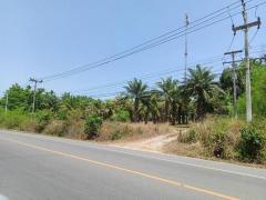 ขายที่ดินสวย 21ไร่  เอกสารสิทธิโฉนด เจ้าของขายเอง ชุมพร  ที่ตั้ง : ตำบลนาชะอัง อำเภอเมืองชุมพร จังหวัดชุมพร 86000 https://maps.app.goo.gl/7R49GnoqNcR9u4XD6  ขนาดพื้นที่ : 21ไร่  รายละเอียด - เอกสารสิทธิโฉนด   - ด้านหน้า ติดถนนทางหลวง 3180 - หน้ากว้าง