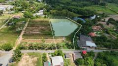 ขายที่ดิน-บ้านน้ำซับ-ต.นาวังหิน-พนัส