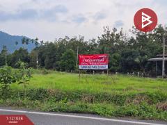 ขายที่ดินแปลงสวย-เนื้อที่-14-ไร่-13.9-ตา