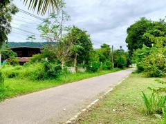 ขายที่ดินพร้อมสิ่งปลูกสร้าง จ.มุกดาหารทิวเขา 360 องศา ล้อมรอบไปด้วยอากาศบริสุทธิ์ และใกล้แหล่งชุมชนที่สัมผัสได้ใกล้ๆเมือง-202510141418411760426321858.jpg