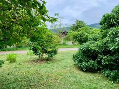 ขายที่ดินพร้อมสิ่งปลูกสร้าง จ.มุกดาหารทิวเขา 360 องศา ล้อมรอบไปด้วยอากาศบริสุทธิ์ และใกล้แหล่งชุมชนที่สัมผัสได้ใกล้ๆเมือง-202510141418421760426322444.jpg