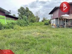 ขายที่ดิน เนื้อที่ 1 งาน 94 ตร.วา บ้านดุง อุดรธานี