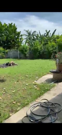 ขายบ้านเดี่ยวชั้นเดียว หมู่บ้านหางแขยง สไตล์ไทย - ยุโรป 3 หลัง เริ่มต้น 2 งาน ติดถนนใหญ่ พร้อมเฟอร์นิเจอร์ ต.หางน้ำสาคร ชัยนาท-202510141426401760426800952.jpg