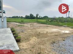 ขายที่ดิน เนื้อที่ 56.3 ตร.วา สระกะเทียม นครปฐม-202510141434331760427273882.jpg